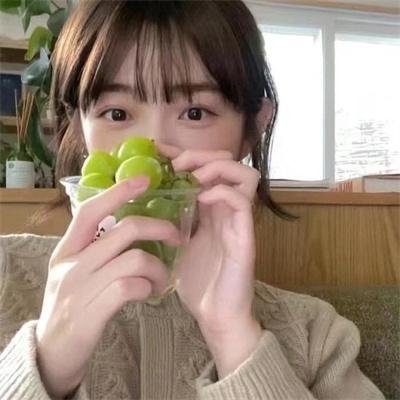 苦藤
